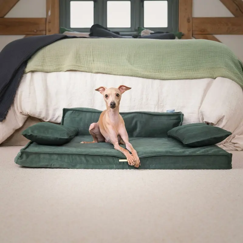 Execu-Sofa in Olive by Lords & Labradors