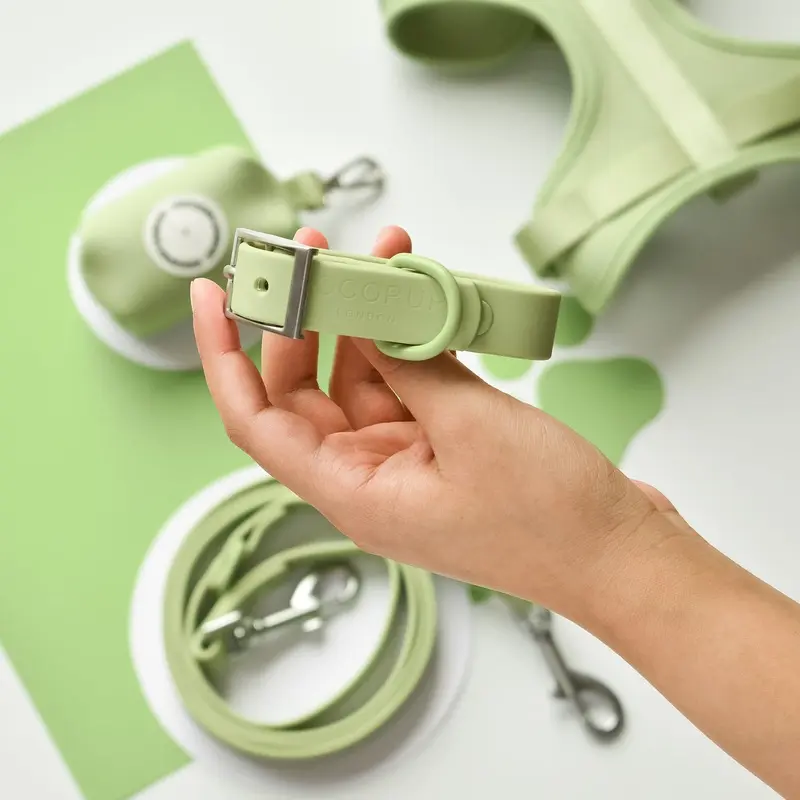 Cocopup London Matcha NAKD Dog Collar