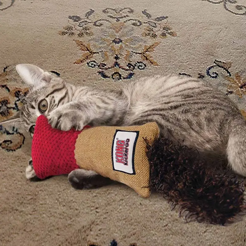 KONG Assorted Kickeroo Cuddler