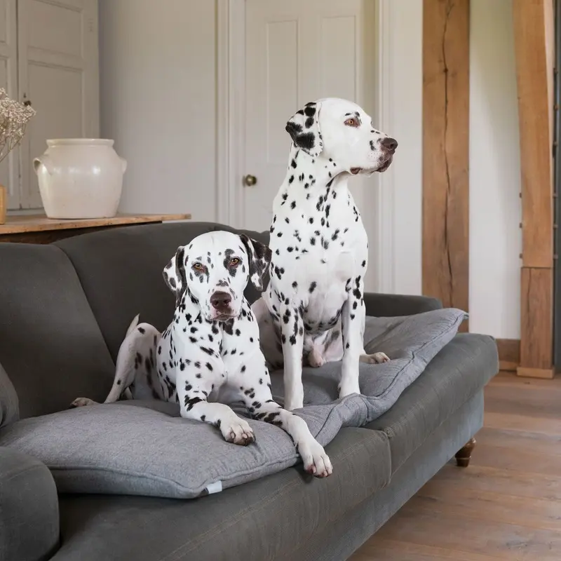 Sofa Topper in Inchmurrin Ground by Lords & Labradors