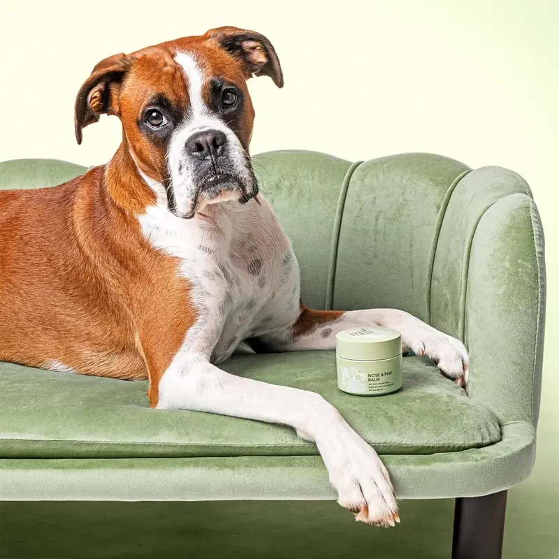 WAGS Nose & Paw Balm