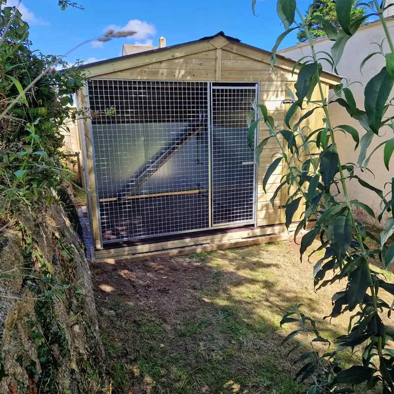 Benchmark Premium Wood Single Cattery 12 x 8ft
