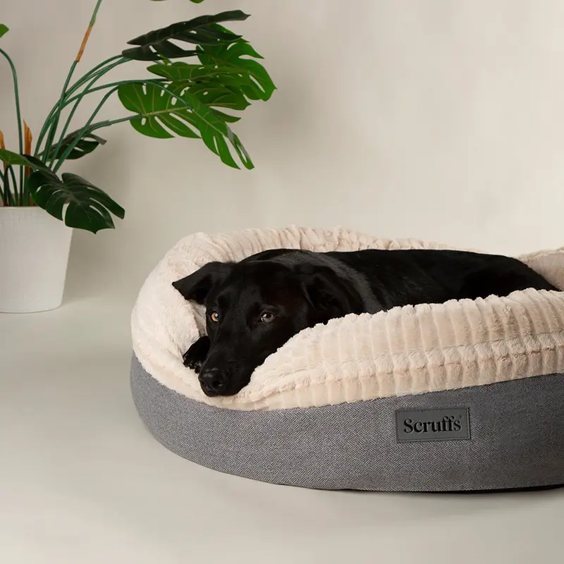 Scruffs Ellen Light Grey Donut Pet Bed