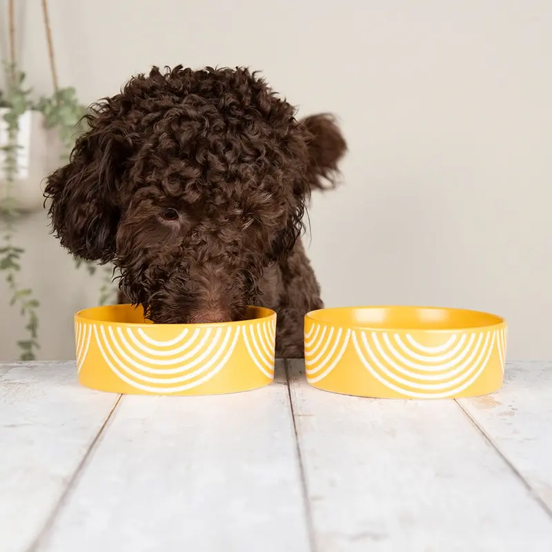 Scruffs Sunflower Aztec Food Bowl