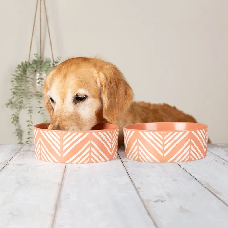Scruffs Terracotta Aztec Food Bowl