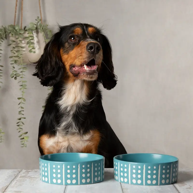 Scruffs Turquoise Aztec Food Bowl
