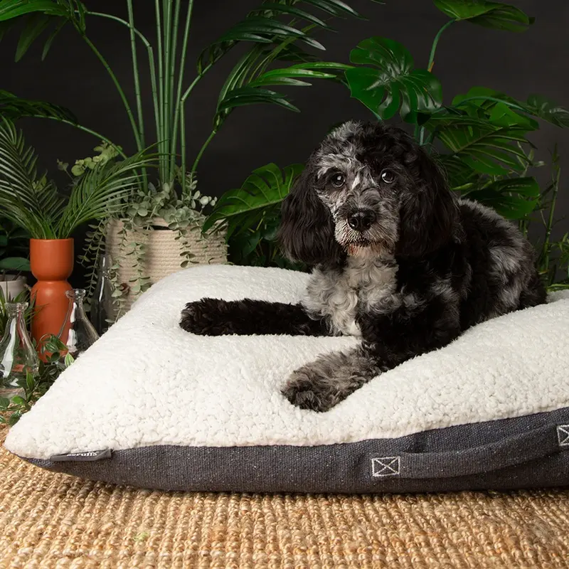 Scruffs 100% Recycled Charcoal Grey Eco Eden Dog Pillow
