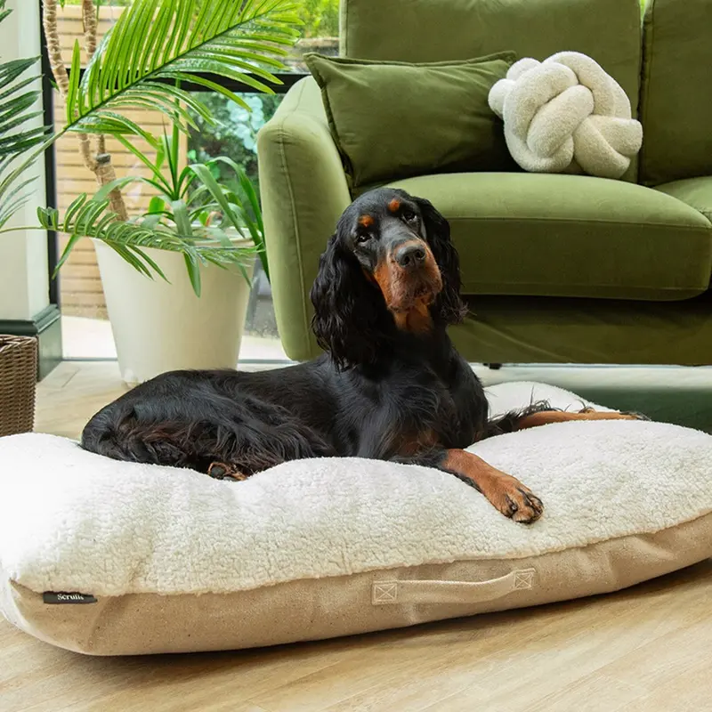 Scruffs 100% Recycled Cream Eco Eden Dog Pillow