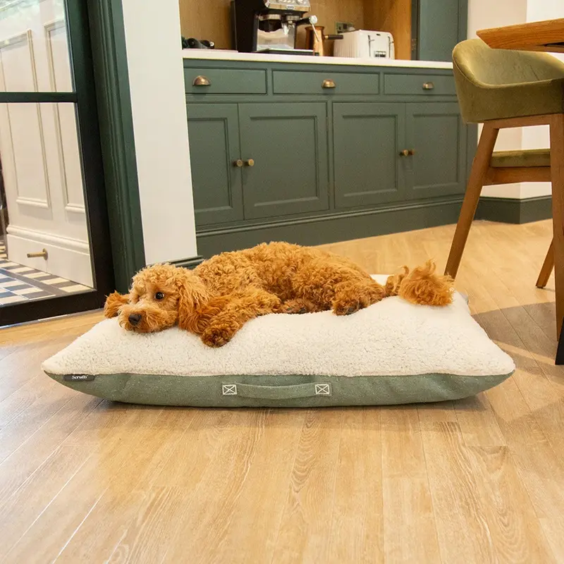 Scruffs 100% Recycled Green Eco Eden Dog Pillow