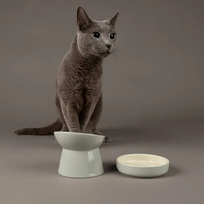 Scruffs Classic Raised Cat Feeder Bowl Light Grey