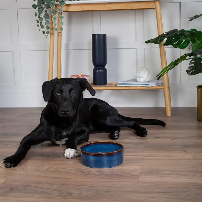 Scruffs Midnight Blue Reactive Glaze Food Bowl