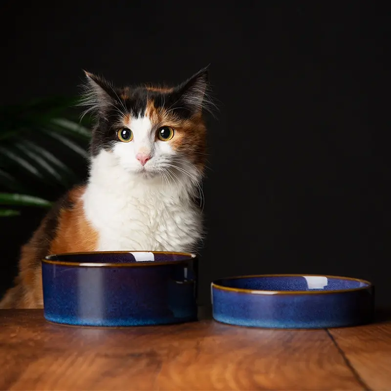 Scruffs Midnight Blue Reactive Glaze Pet Saucer