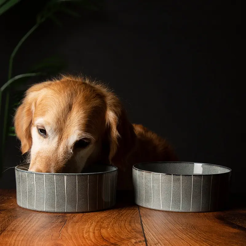 Scruffs Pinstripe Reactive Glaze Food Bowl
