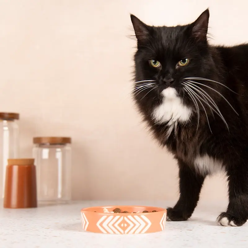 Scruffs Terracotta Aztec Pet Saucer