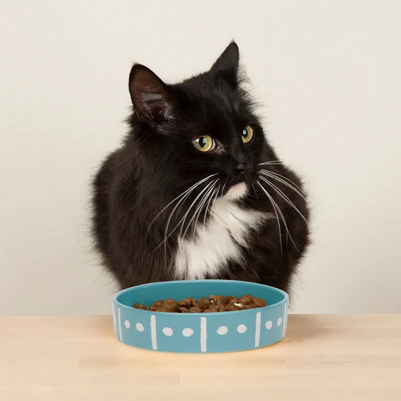 Scruffs Turquoise Aztec Pet Saucer