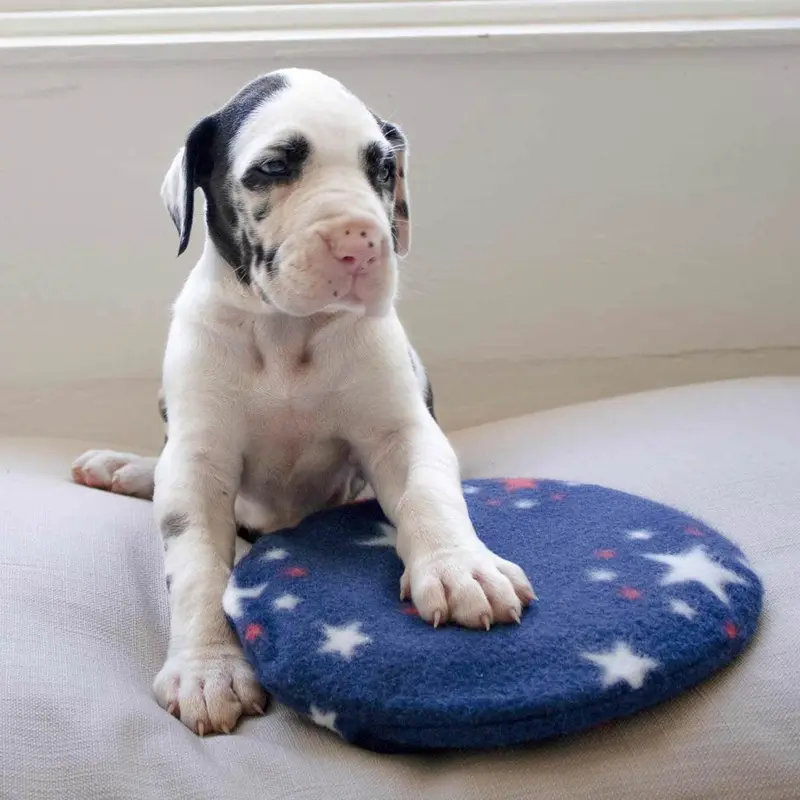 SnuggleSafe Heat Pad