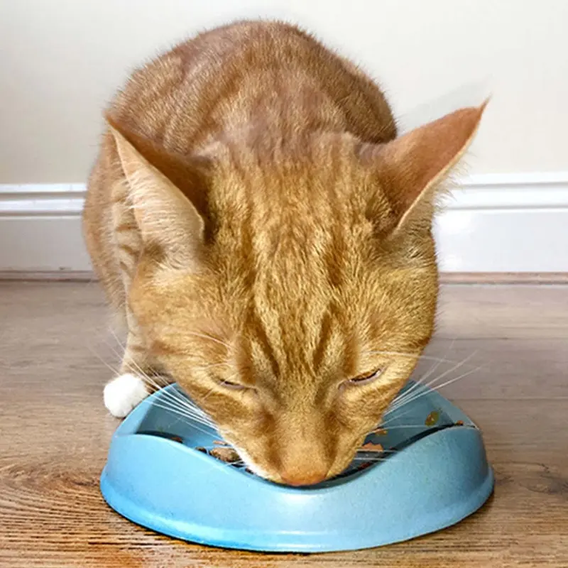 Beco Cat Bowl