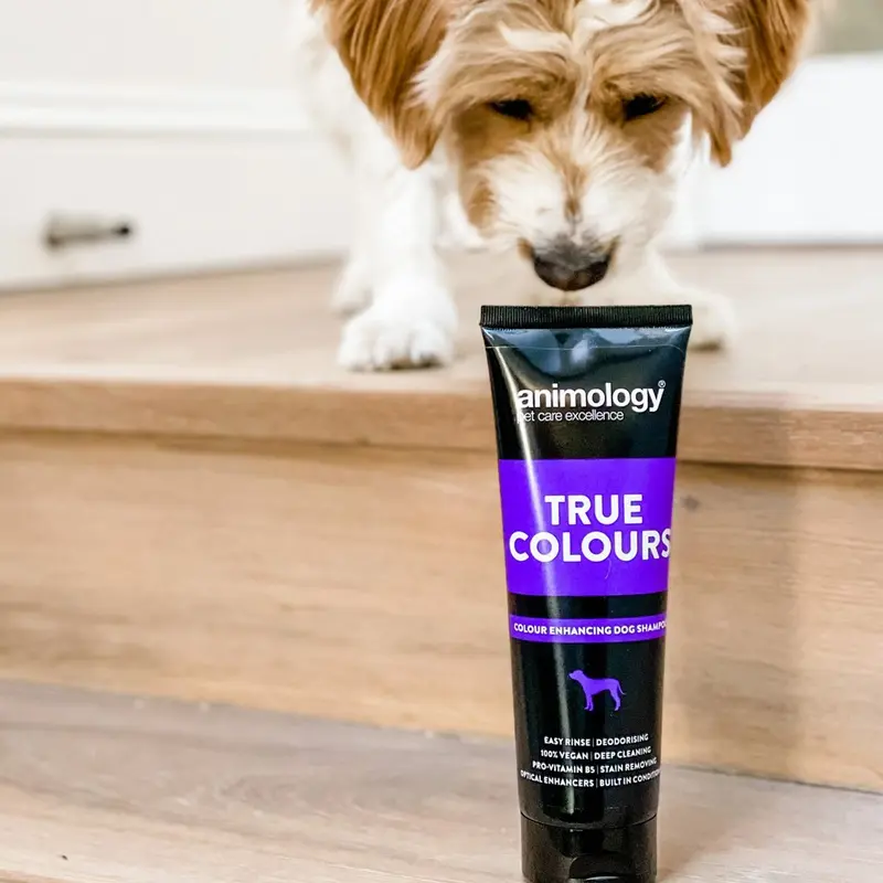 Animology True Colours Dog Shampoo