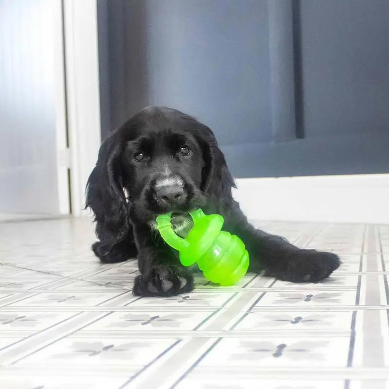 Little Buddy Puppyfier