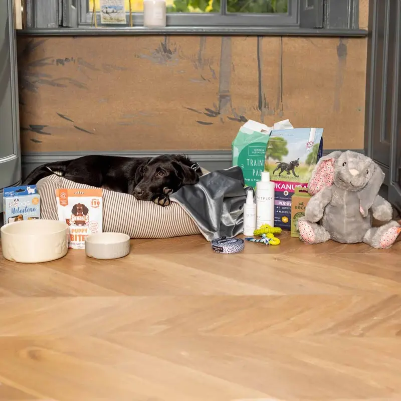 Puppy Essentials Pack for Large/Giant Breeds by Lords & Labradors