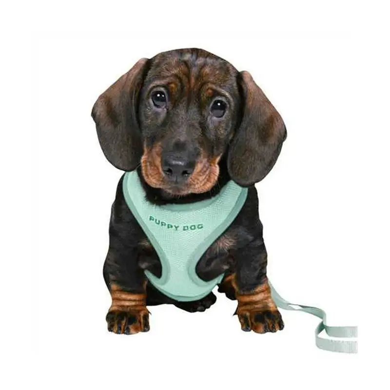Trixie Soft Adjustable Puppy Harness & Lead Set