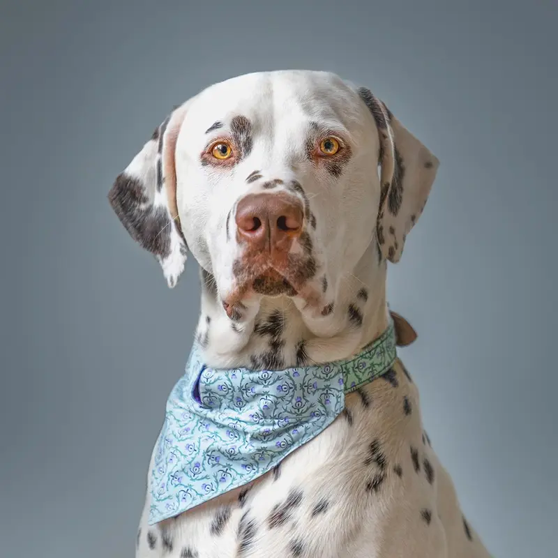 Hiro + Wolf X L&L Bandana