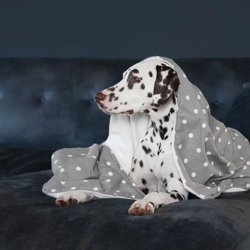 Dog & Puppy Blanket in Spots & Stripes by Lords & Labradors