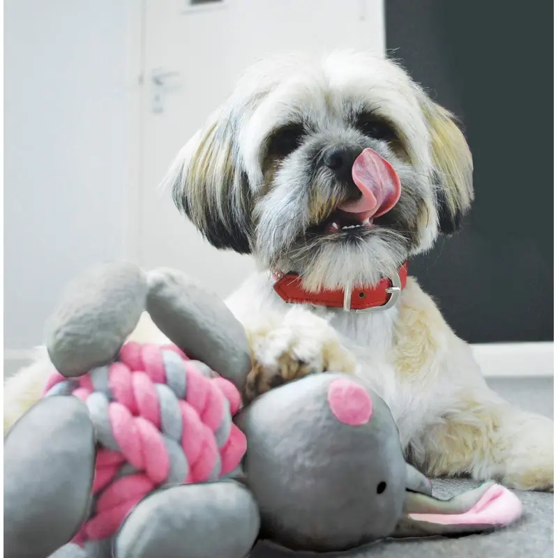 Little Rascals Knottie Bunny