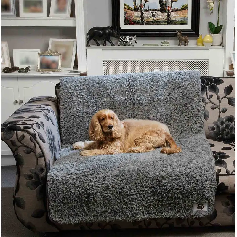 Pet Rebellion Comfy Cover