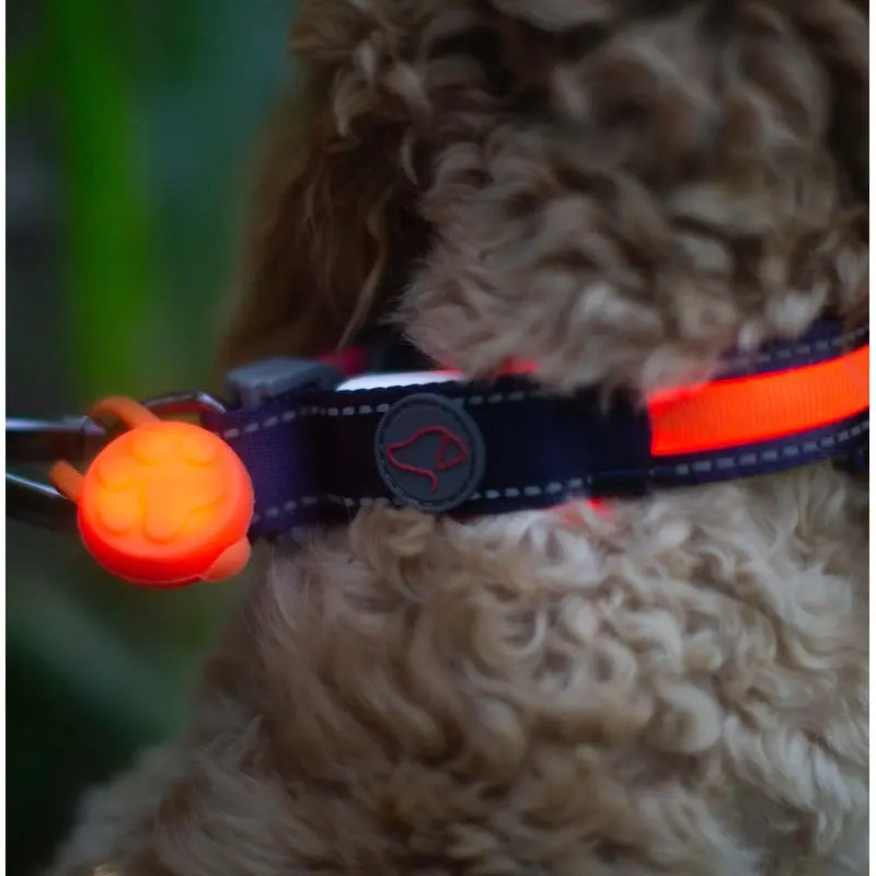 Zoon Flash & Go LED Vis-Tag