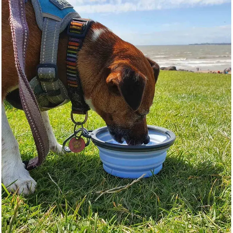 Henry Wag Travel Bowl