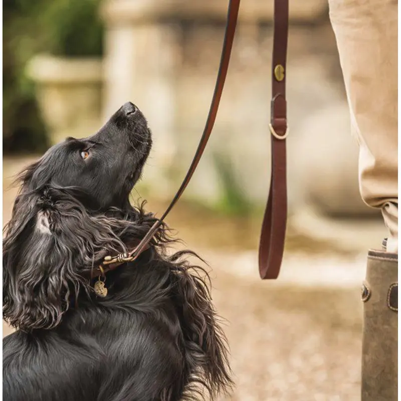 Le Chameau Marron Dog Lead