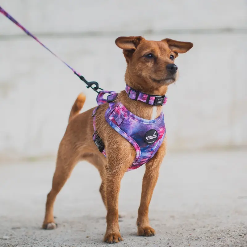 Love Nala Purple Nala Harness