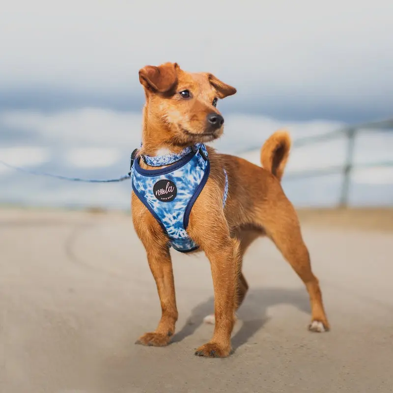 Love Nala Water Harness
