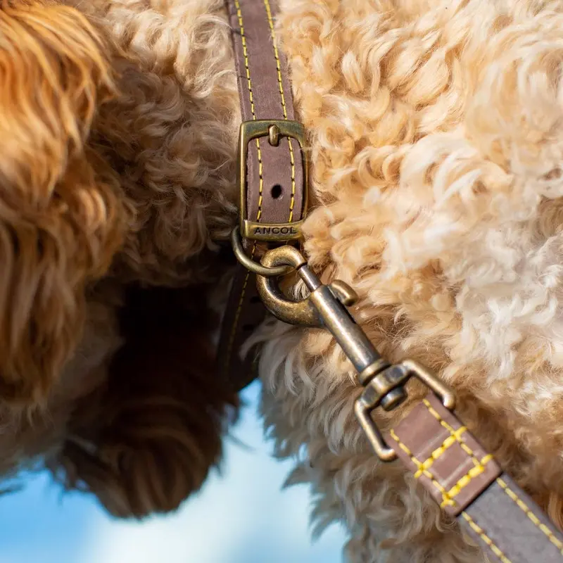 Ancol Timberwolf Leather Collar