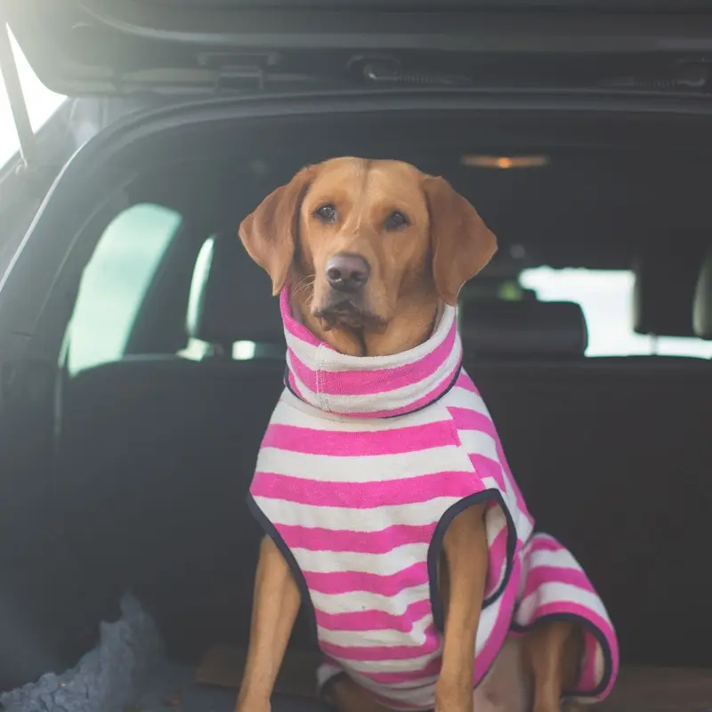 Harbour Hounds Pink Stripe Drying Coat