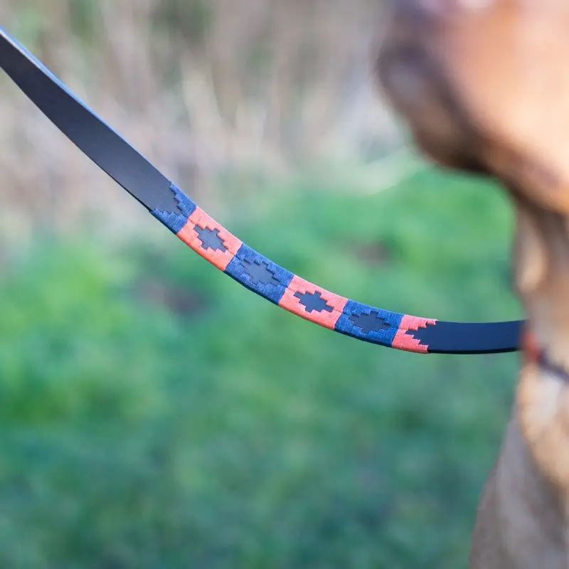 Pampeano Audaz Dog Lead