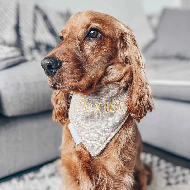 Bandana in Savanna Oatmeal by Lords & Labradors