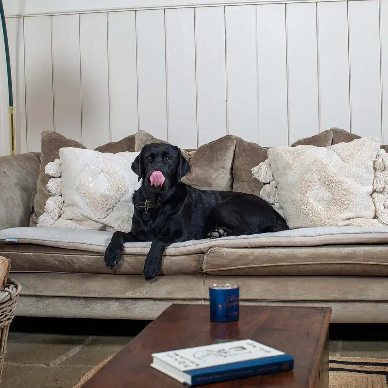 Sofa Topper in Herringbone Tweed by Lords & Labradors