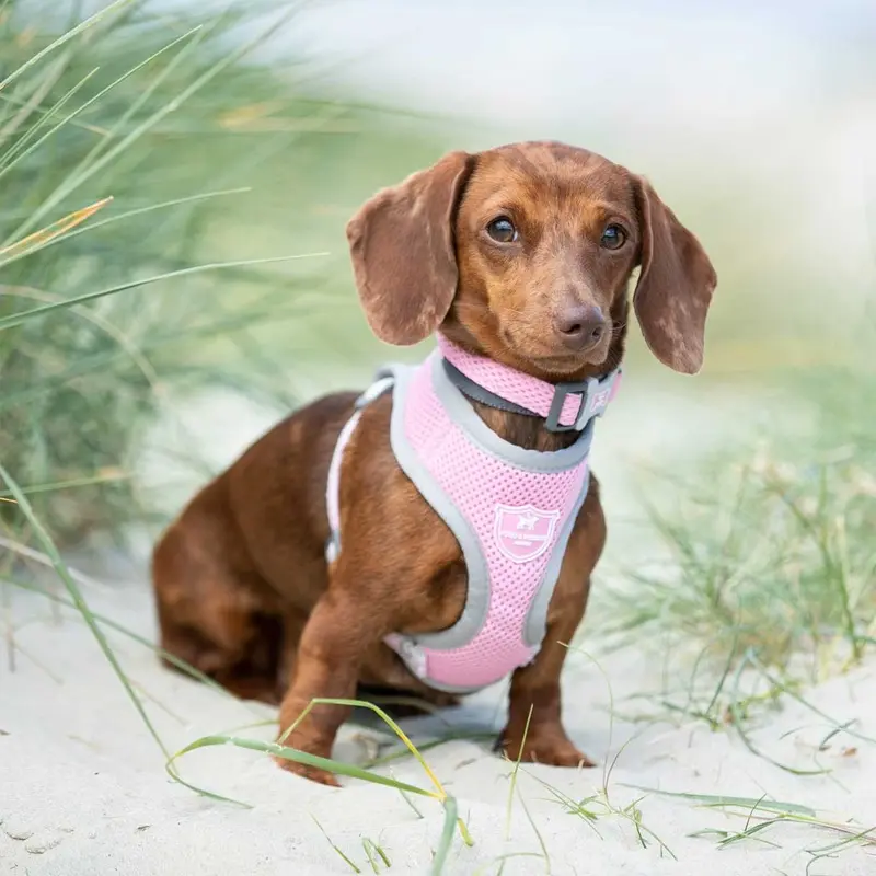 Hugo & Hudson Pink Mesh Dog Harness