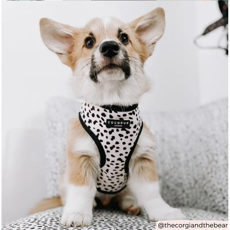 Cocopup London Monochrome Spots Adjustable Neck Harness