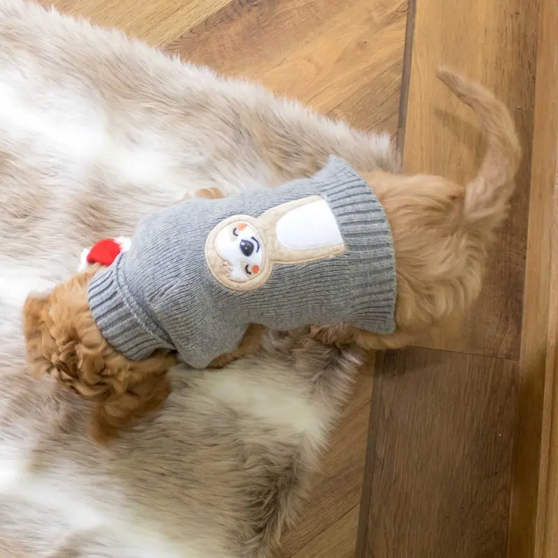 Christmas Sloth Jumper