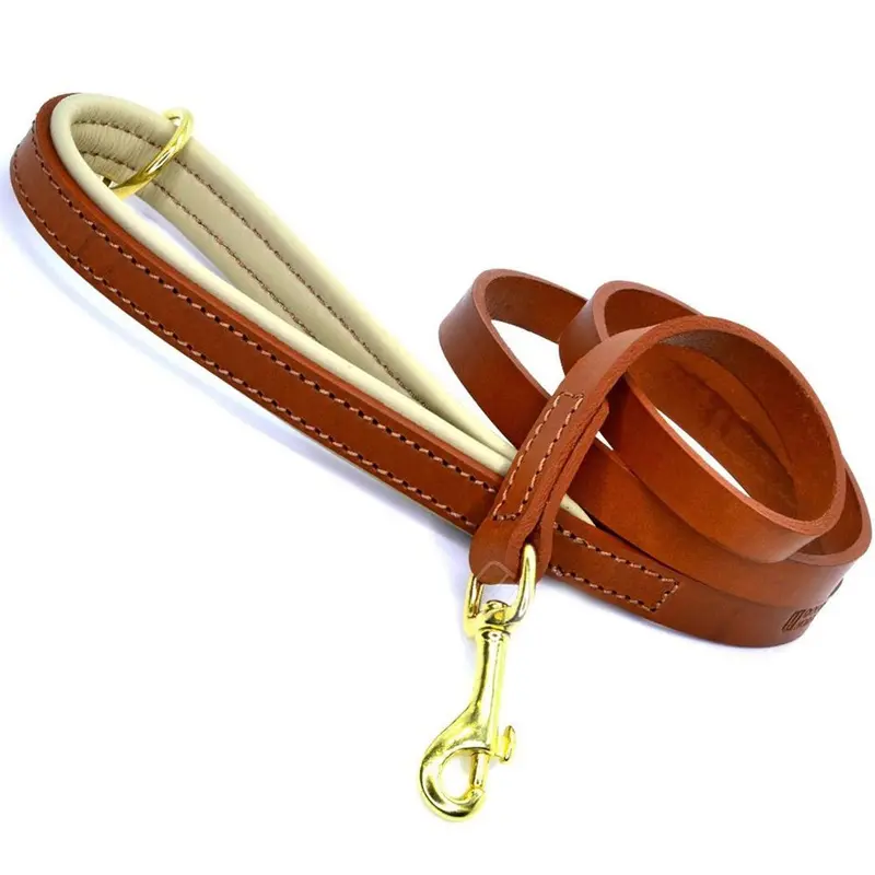 Dogs & Horses Colours Leather Lead