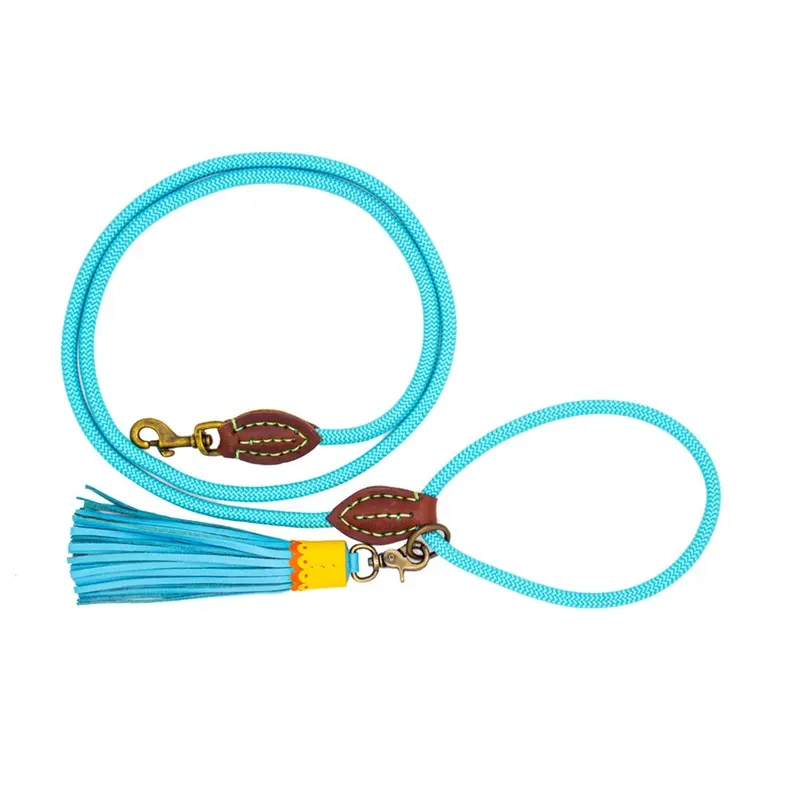 Blues Dog Lead by DWAM