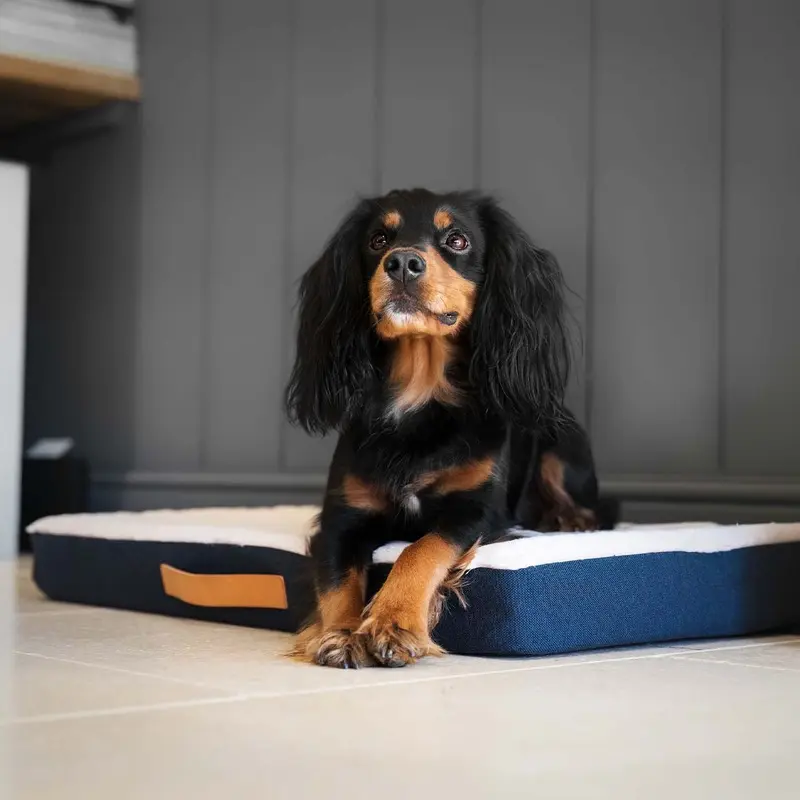 Essentials Twill Orthopaedic Mattress in Denim by Lords & Labradors