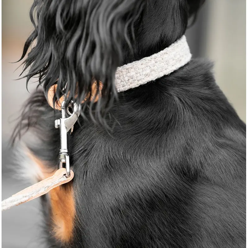 Essentials Herdwick Dog Collar in Sandstone by Lords & Labradors