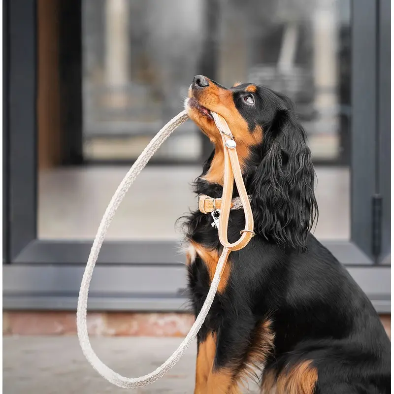 Essentials Herdwick Dog Lead in Sandstone by Lords & Labradors