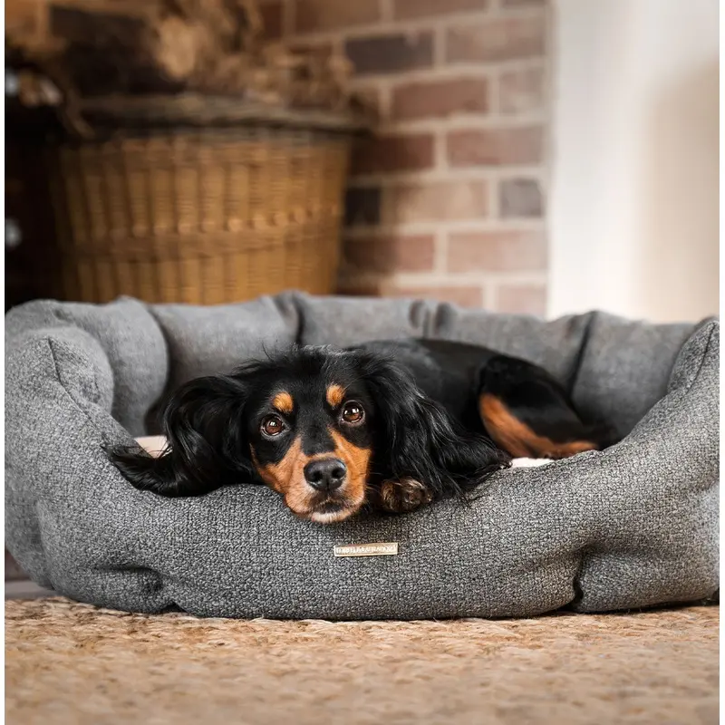 Essentials Herdwick Oval Bed in Graphite by Lords & Labradors