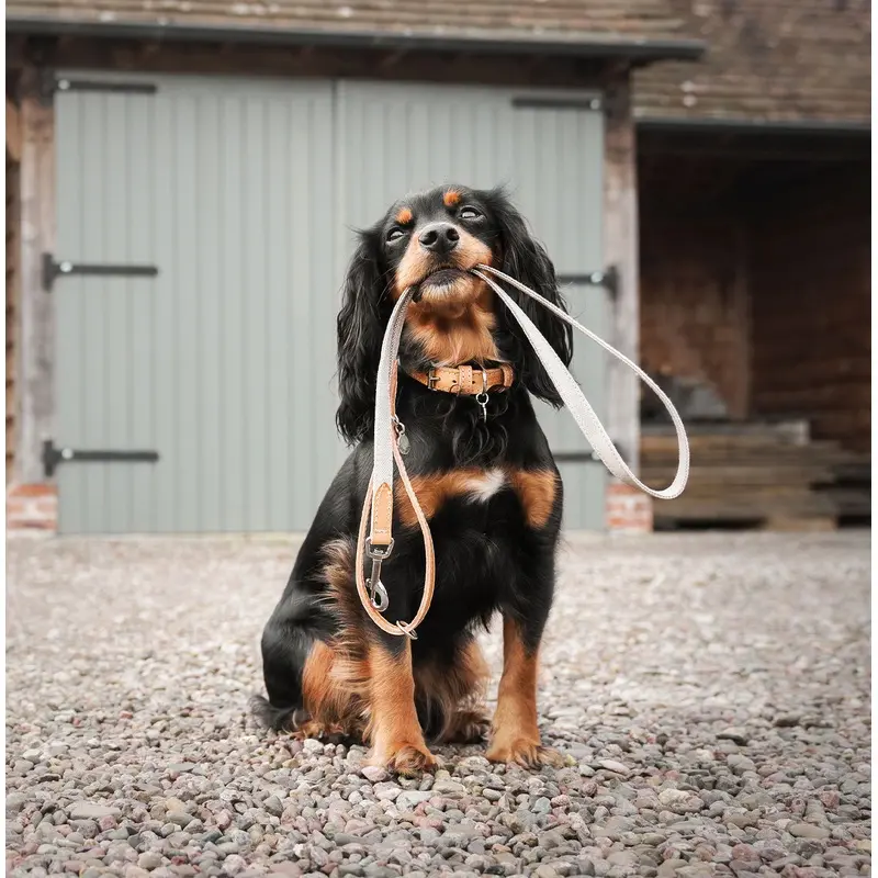 Essentials Twill Dog Lead in Linen by Lords & Labradors
