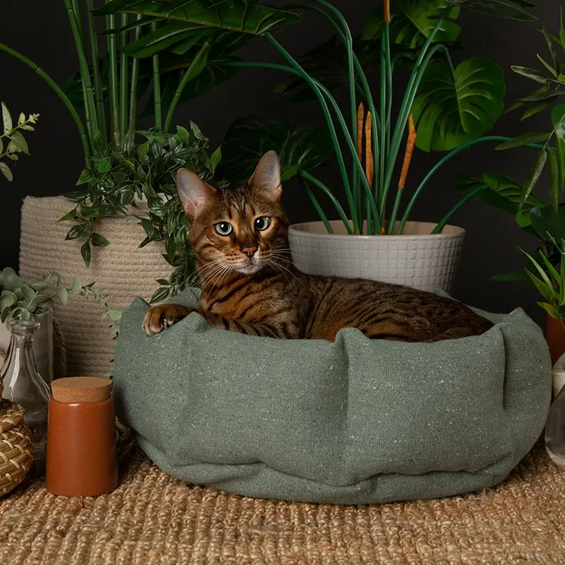 Scruffs 100% Recycled Green Eco Eden Cat Bed